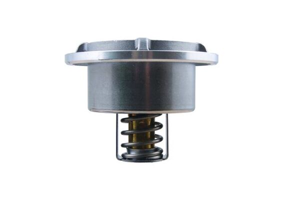 THERMOSTAT OEM (04911831 OEM) DEUTZ